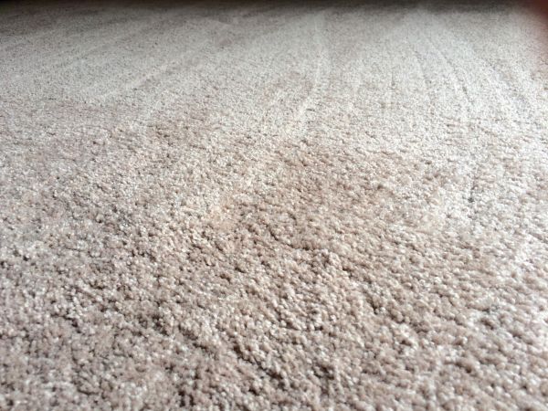 Plush Carpet Installation in Lehi